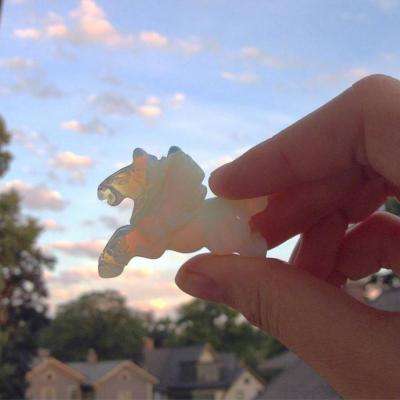 NG体育·(南宫)app下载