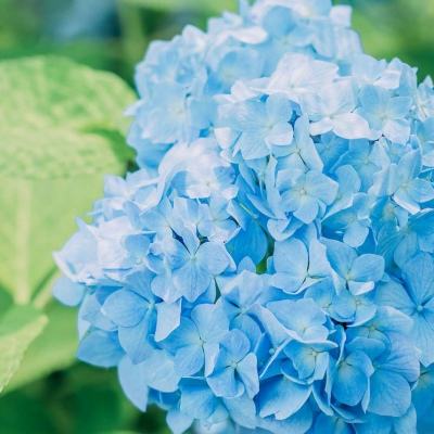 鸭脖体育app官网下载官方版